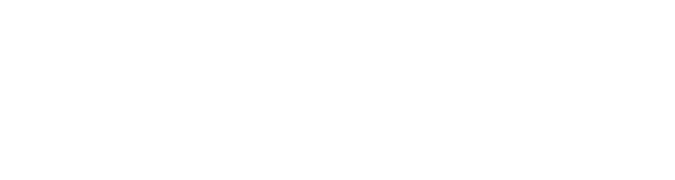 logo light